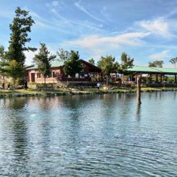 竿が折れ、イトウが釣れた ～フィシングパーク高島の泉～